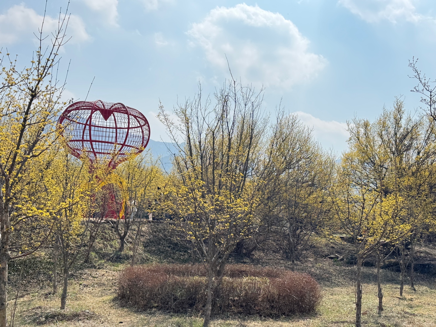 구례산수유축제