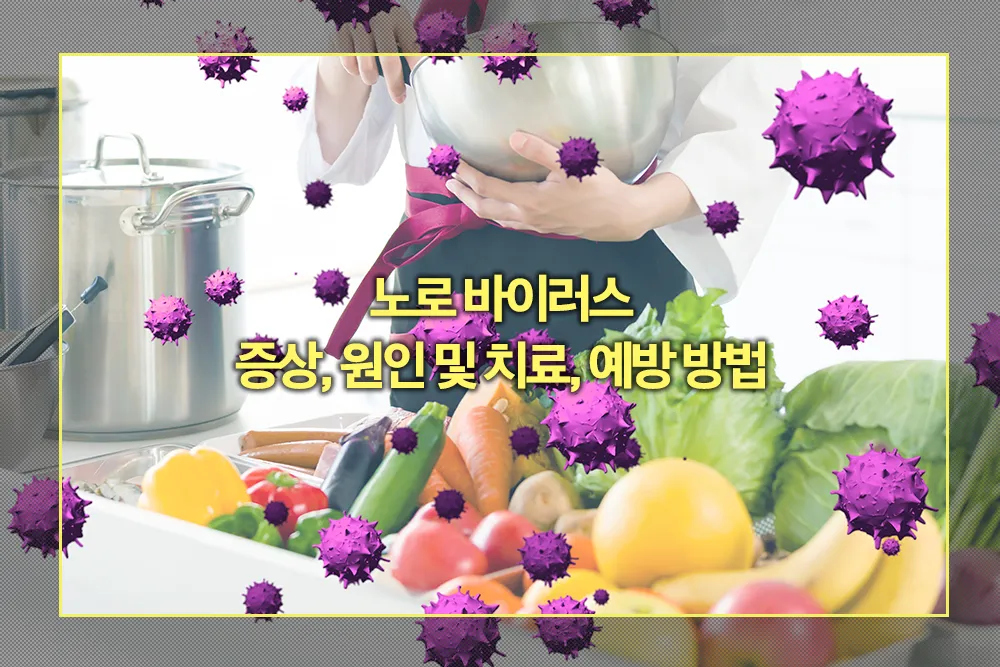 노로 바이러스 증상, 원인 치료, 예방 방법