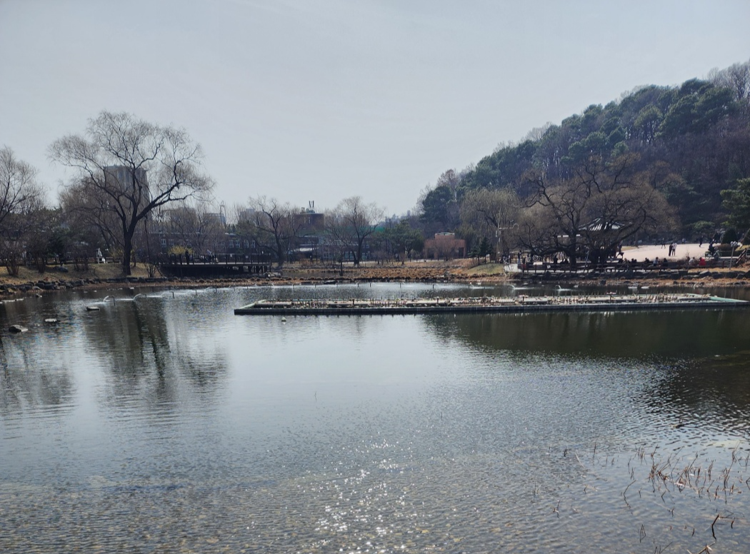 가까이서보면 보이는 물고기들