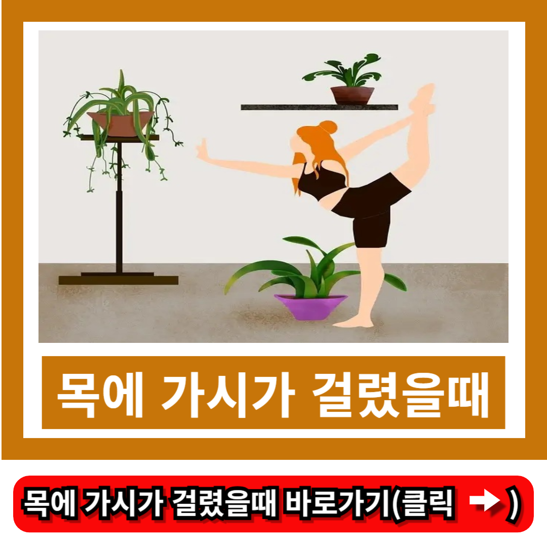 목에 가시가 걸렸을때