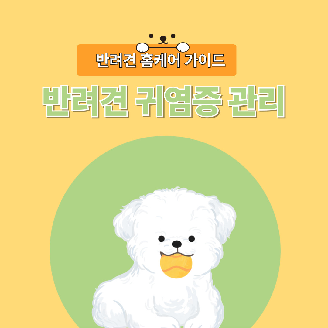 반려견 귀 염증, 병원만큼 중요한 홈케어 가이드