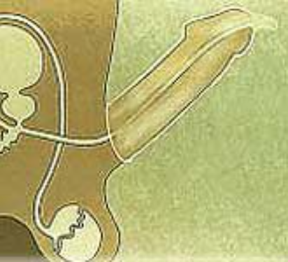 올바른 콘돔 사용방법 알아보기