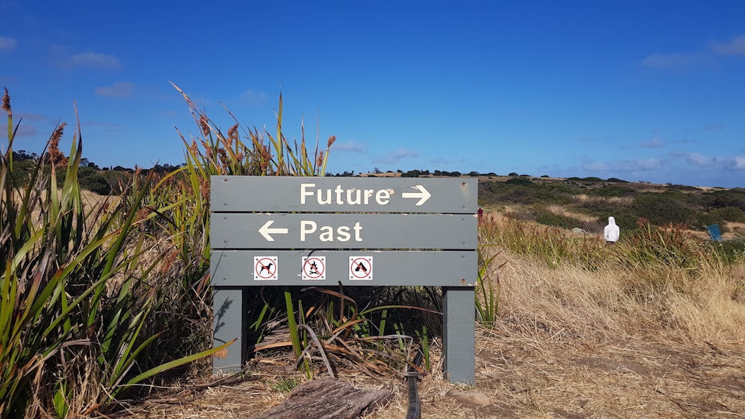 Future