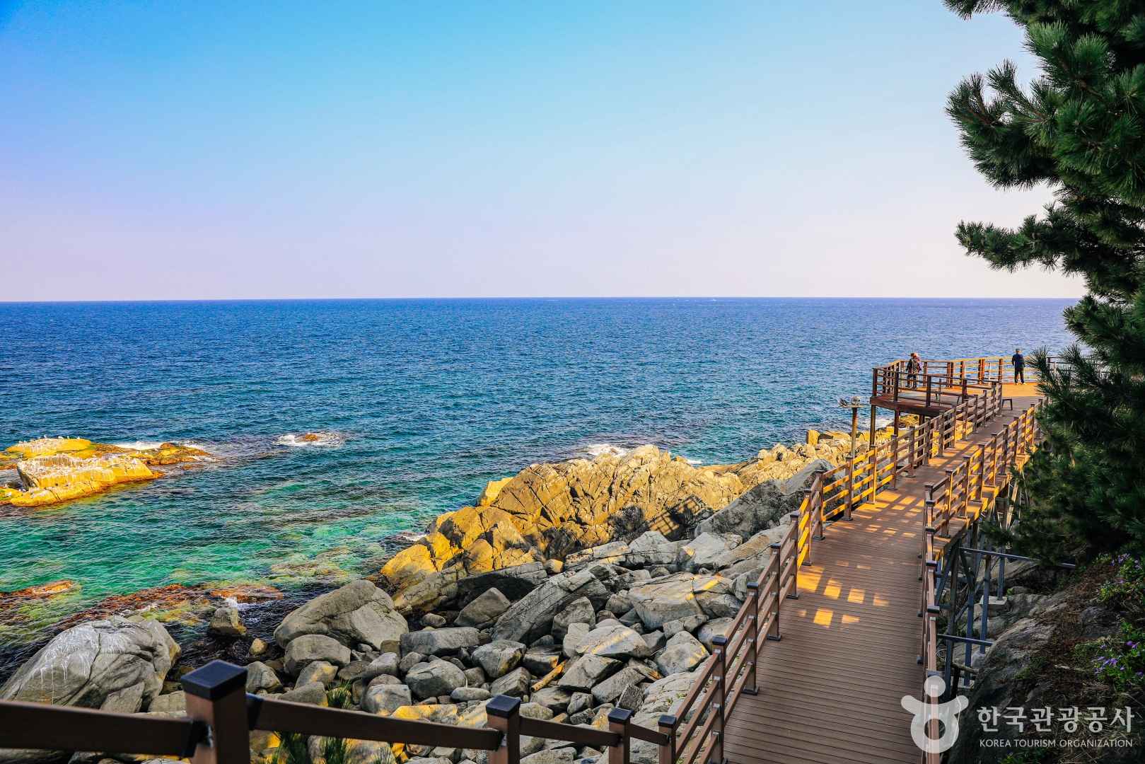 속초 외옹치 바다향기로