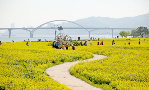 구리시 구리한강시민공원 사진