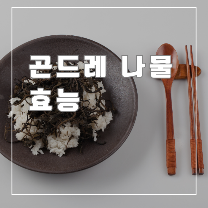 곤드레 나물 효능