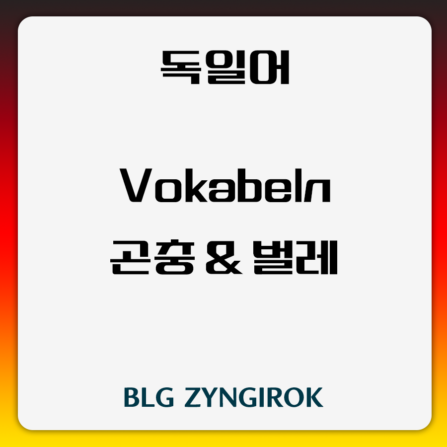 독일어 Vokabeln 곤충 벌레 썸네일 이미지이다.