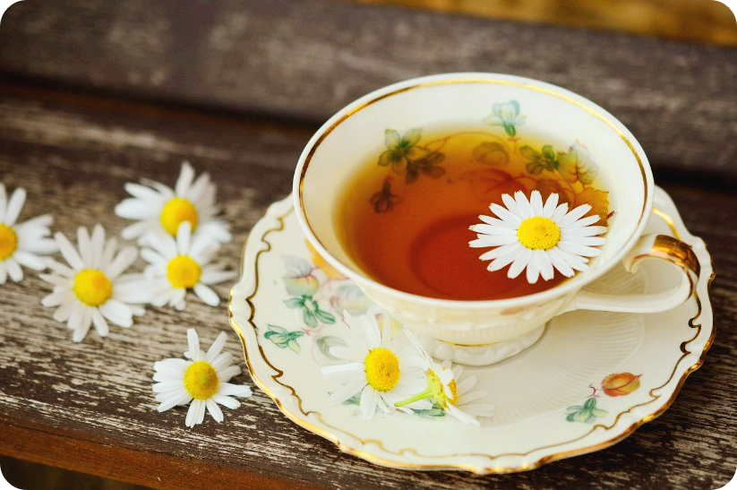 창가 찻잔 꽃잎