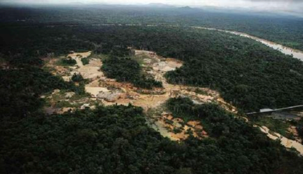 생태계 복원 프로젝트의 의미, 중요성, 파괴원인, 복원사례