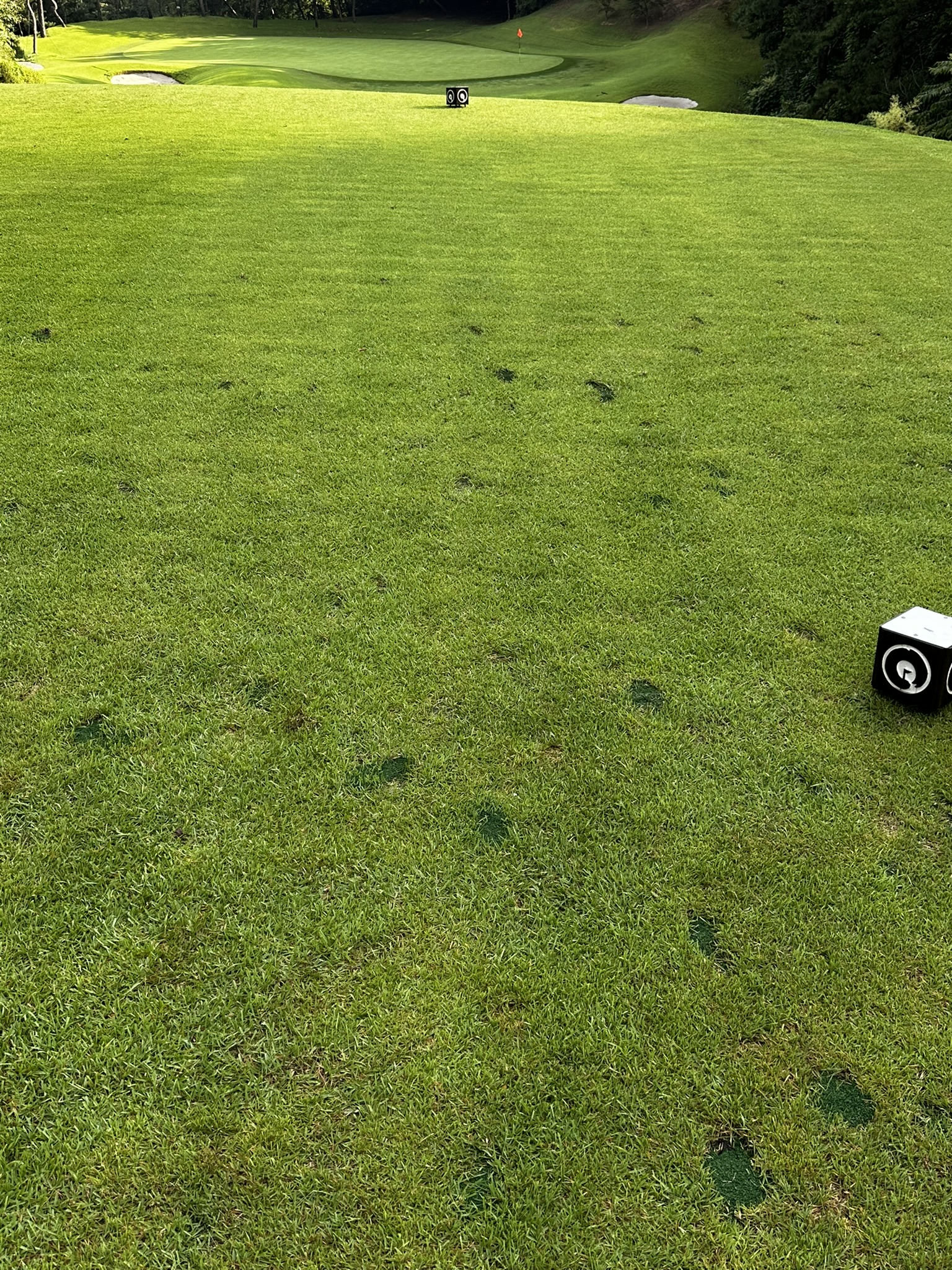 아리지CC 티박스