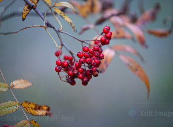수원시 폐가전 무료수거 신청방법 총정리 (2025)