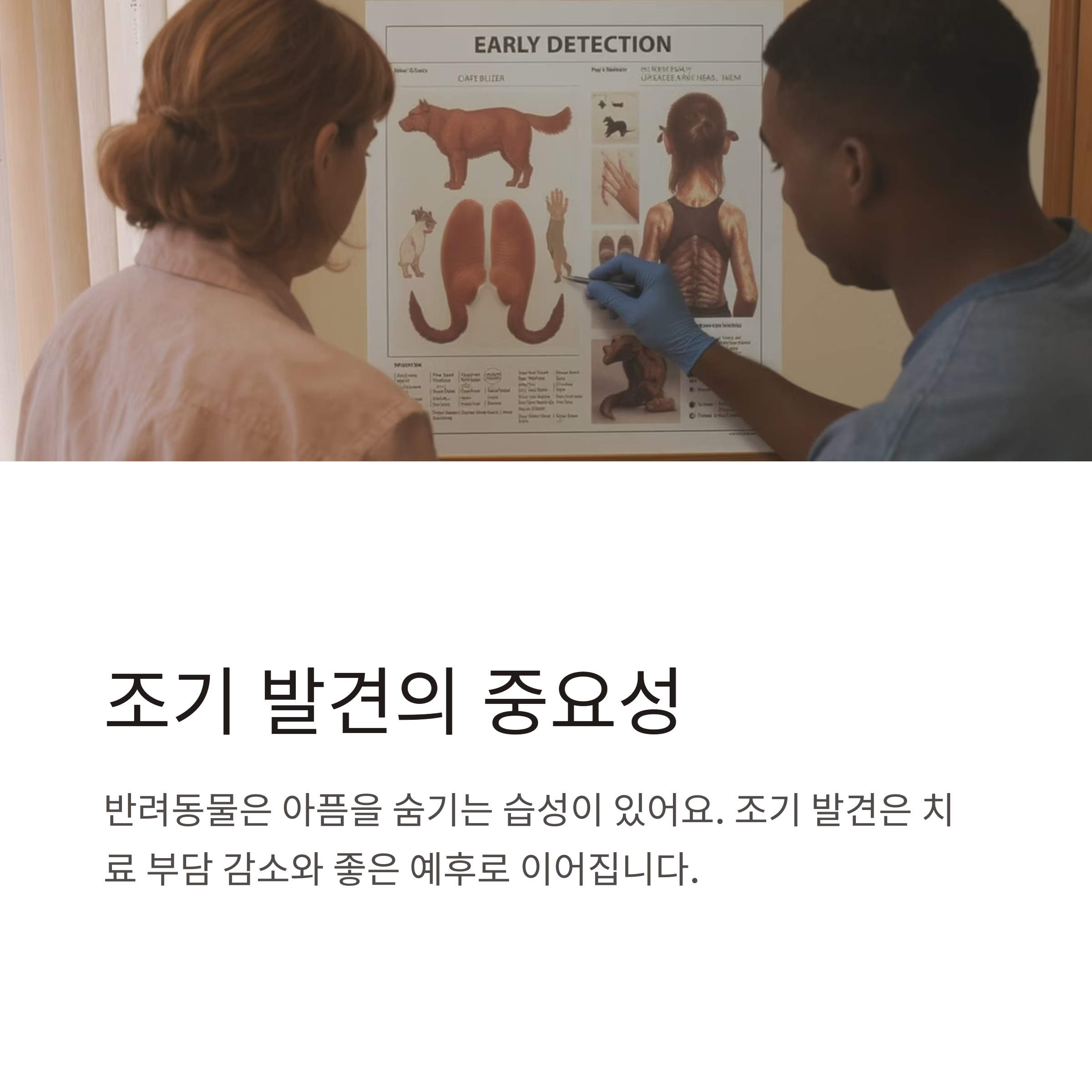 반려동물 건강검진, 꼭 받아야 하는 이유와 적정 주기