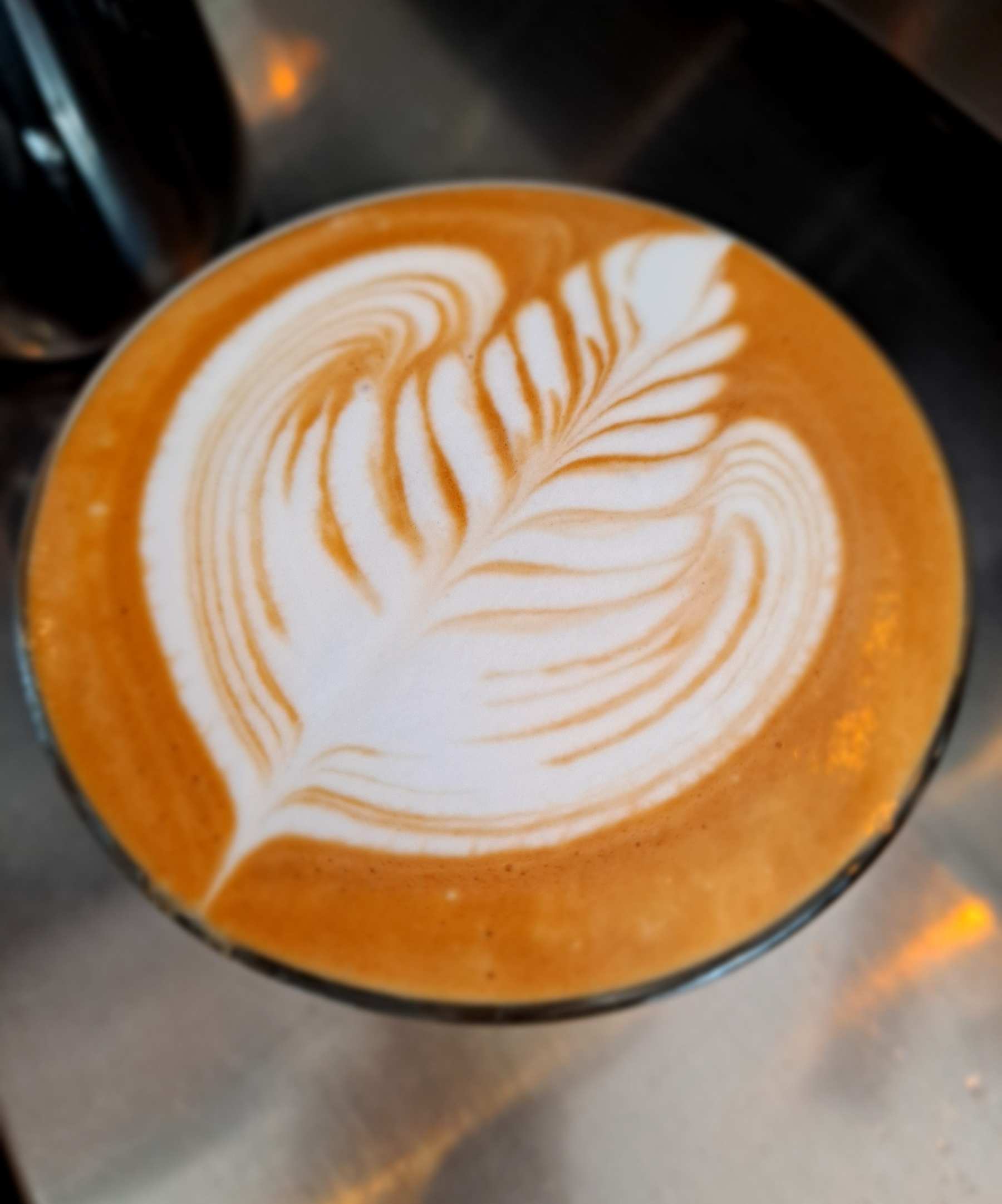 퉁퉁한 로제타 완성