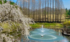 청남대(2025) 예약접수 방법 힐링여행 관련 사진