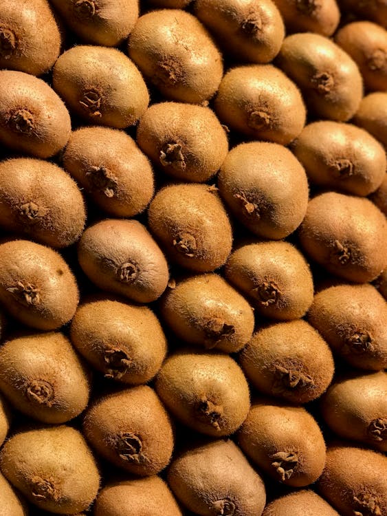 껍질 벗기지 않는 키위들