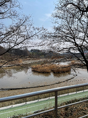 부담 없이 달리기를 시작하는 가장 쉬운 방법