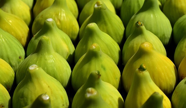 덜 숙성된 무화과