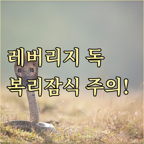 미국 자문사 RIA 레버리지 ETF ..