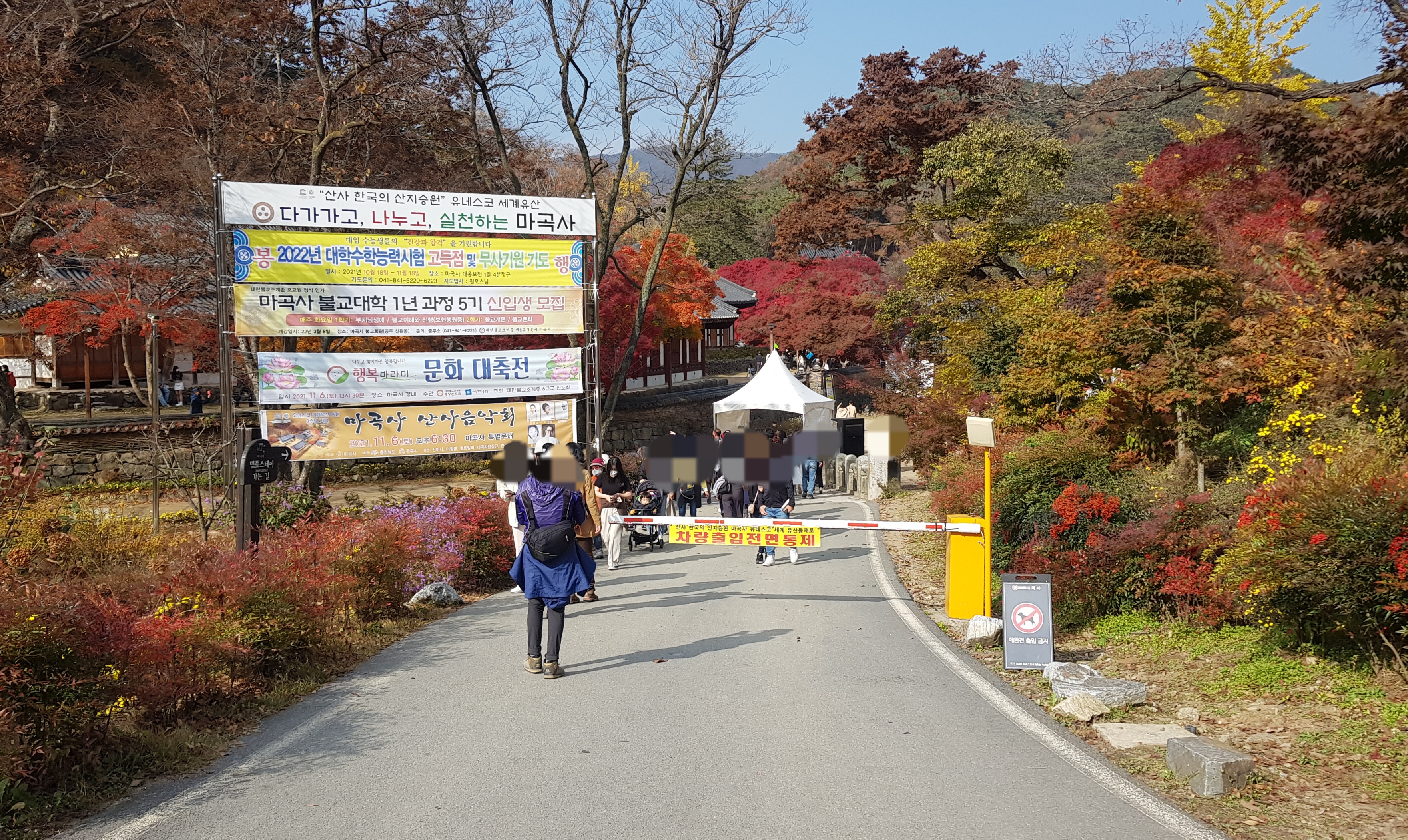 마곡사 입구 : 차 진입금지