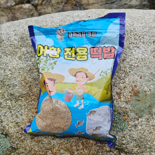 계곡 물고기 잡기
