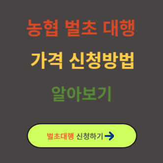 농협 벌초대행