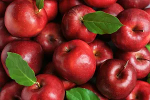 간암에-좋은-음식