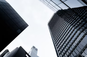 KB금융지주 배당금 지급일