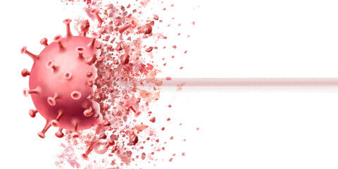 결핵 재발 내성결핵 예방접종 좁쌀결핵