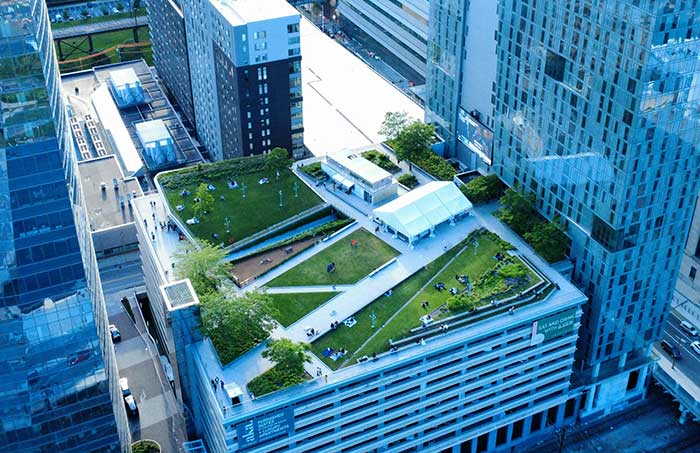 빌딩 옥상 농업경작 이미지