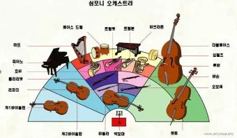 오케스트라를 구성하는 클래식 악기들의 종류와 특징을 정리_21