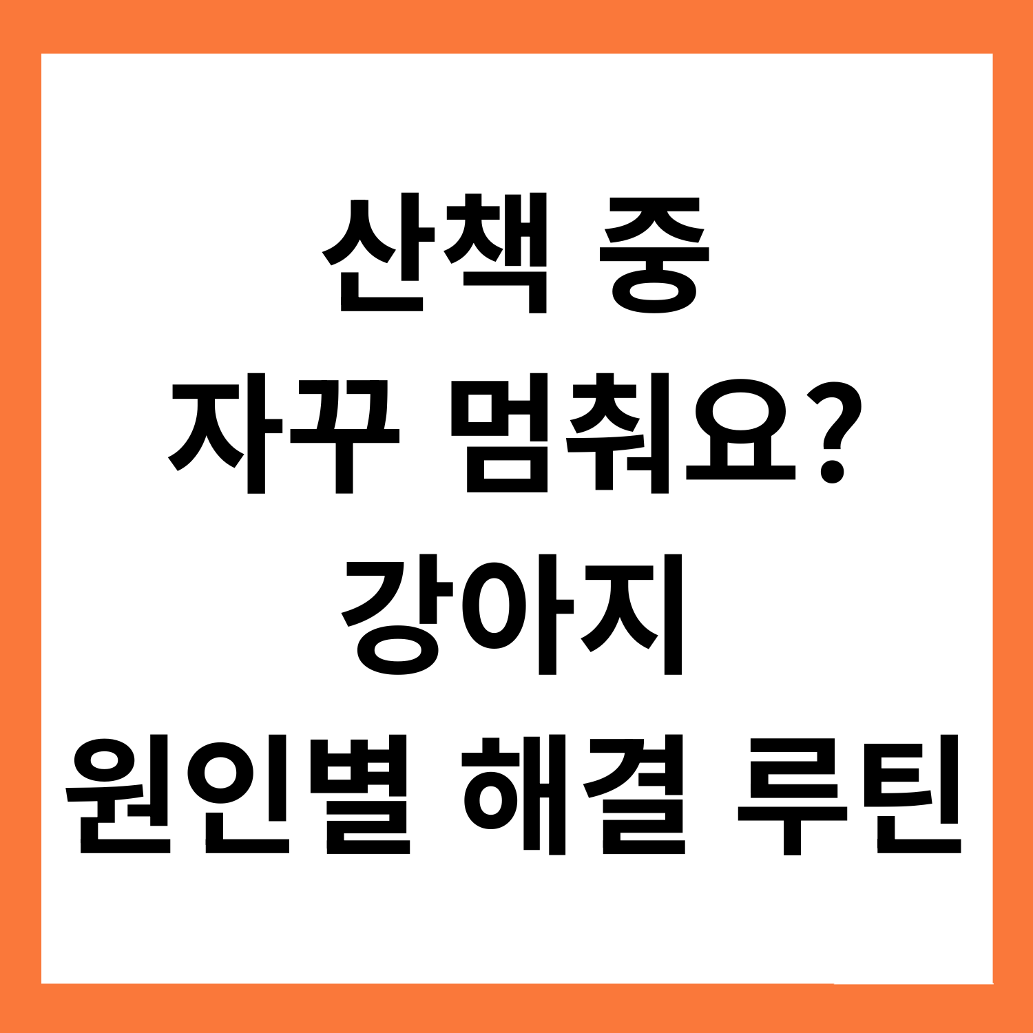 강아지가 산책 중 자꾸 멈춰요? 원인별 해결 루틴 정리