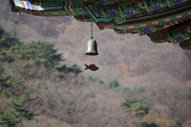전국의 겨울 사찰음식