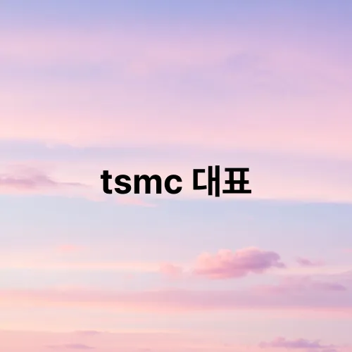 tsmc 대표