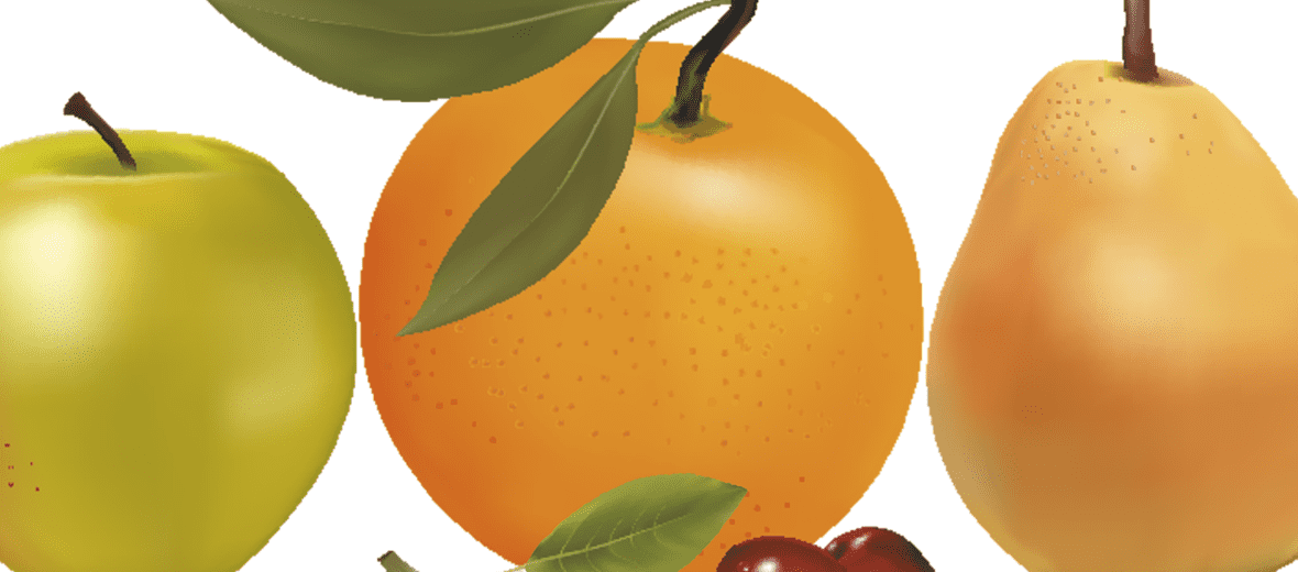 과일 배 사진 - 17