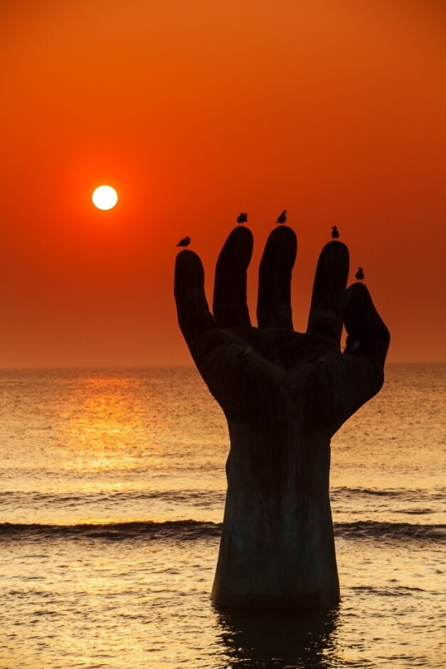 2024 해맞이 행사, 축제