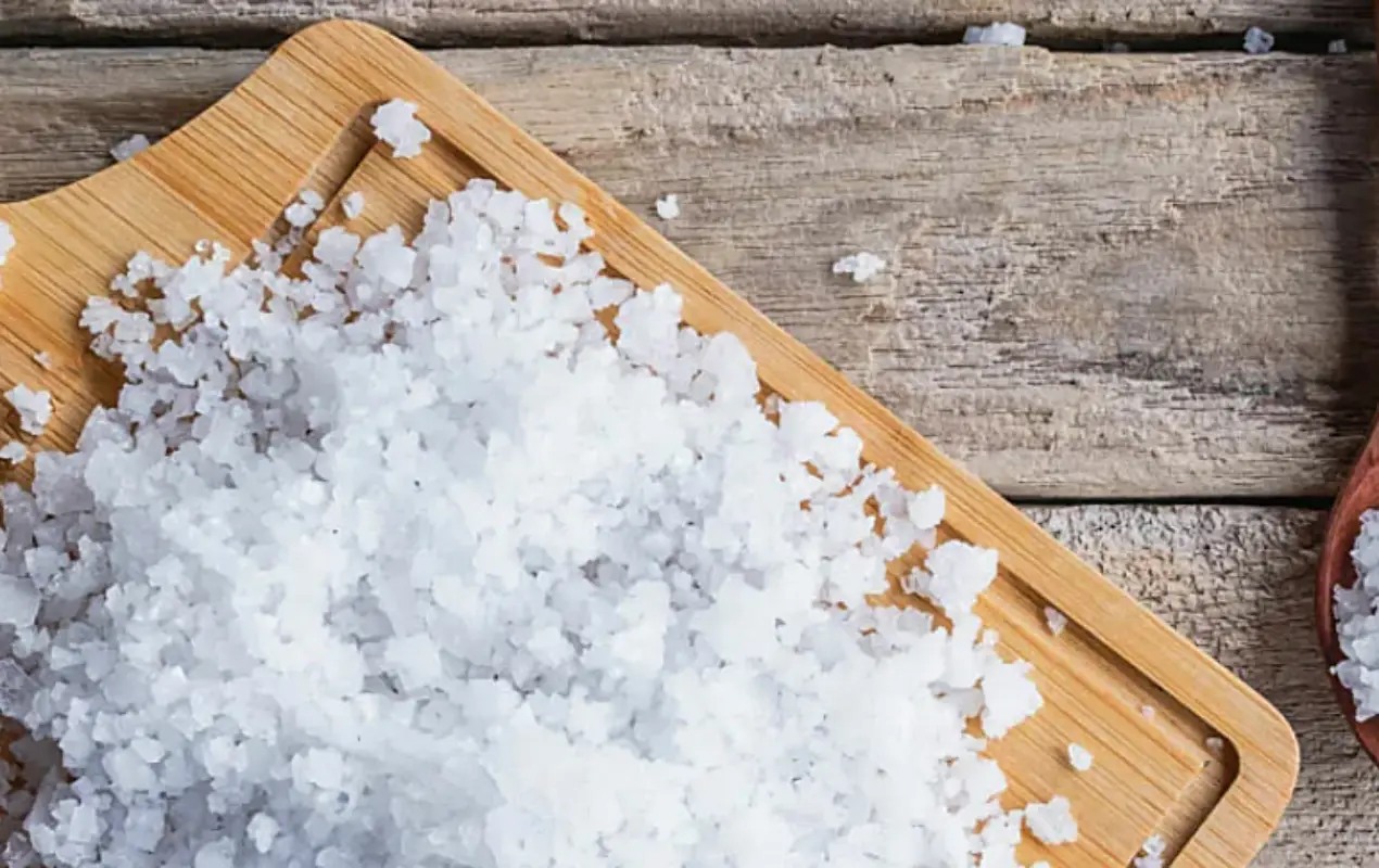 전통 오이지 담그는법