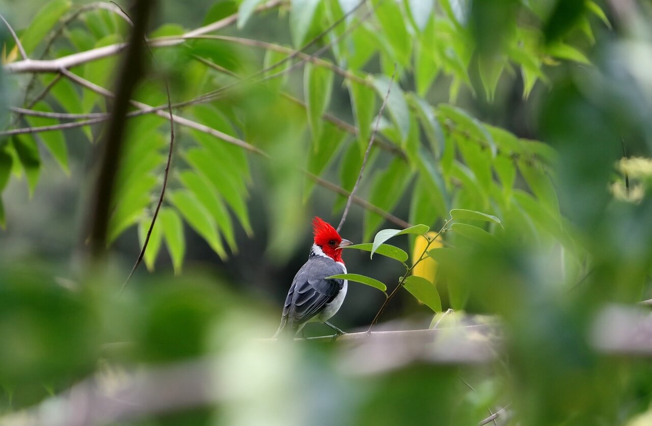하와이 호텔 리조트피와 주차비 확인하는 방법