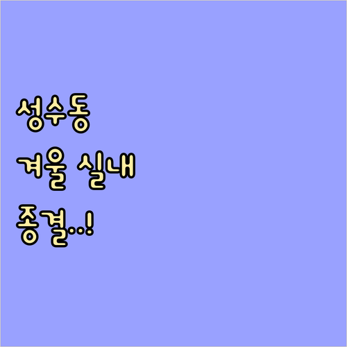 추운 겨울 성수동 실내 나들이 추천 ..