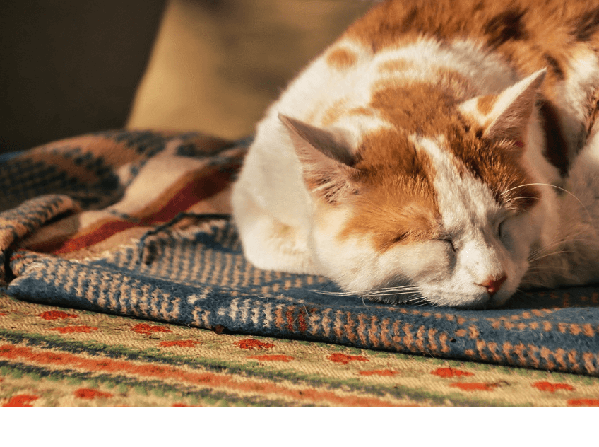 암 환자를 위한 건강 수면 전략: 반드시 실천해야 할 생활 습관