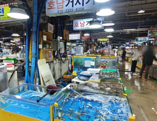 호남거시기