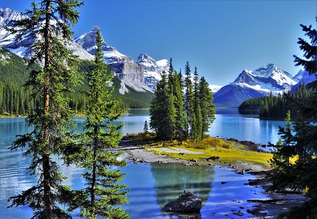 국민행복카드 지원대상, 발급, 잔액 확인