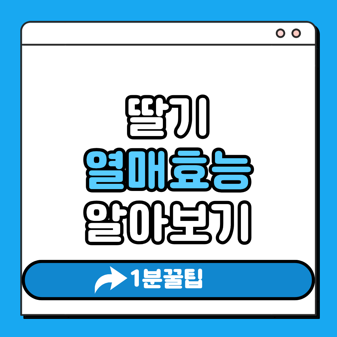 딸기효능