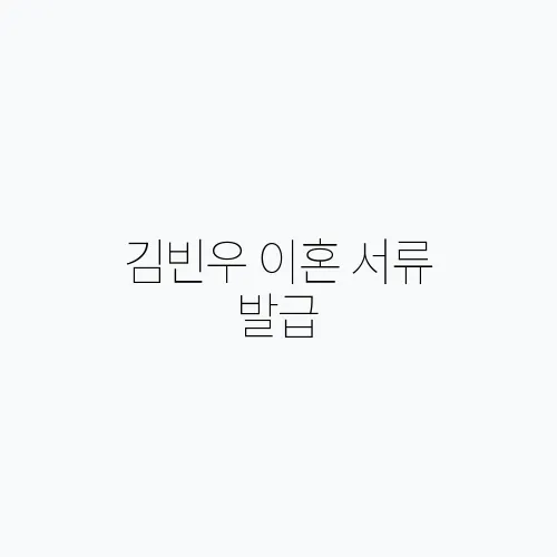 김빈우 이혼 서류 발급, 결혼 생활 위기와 남편의 변화
