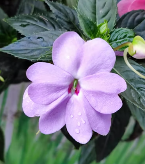 전국 9월 축제 행사 일정 (BEST 6 축제 행사)