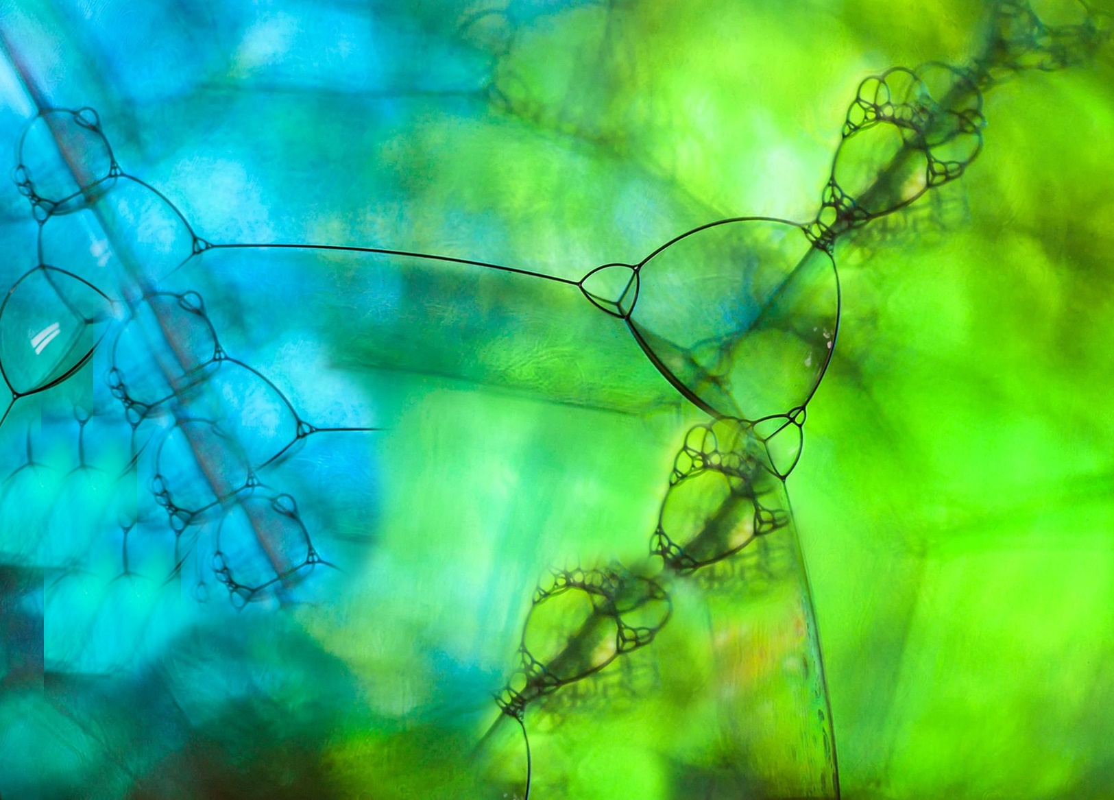 혈압이 먼저 오르기 시작했다면&amp;#44; 신장이 보내는 골드타임!