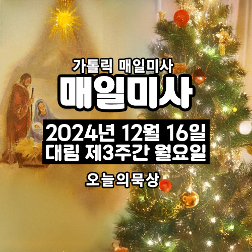 2024년 12월 16일 매일미사 대림 제3주간 월요일 오늘의 묵상