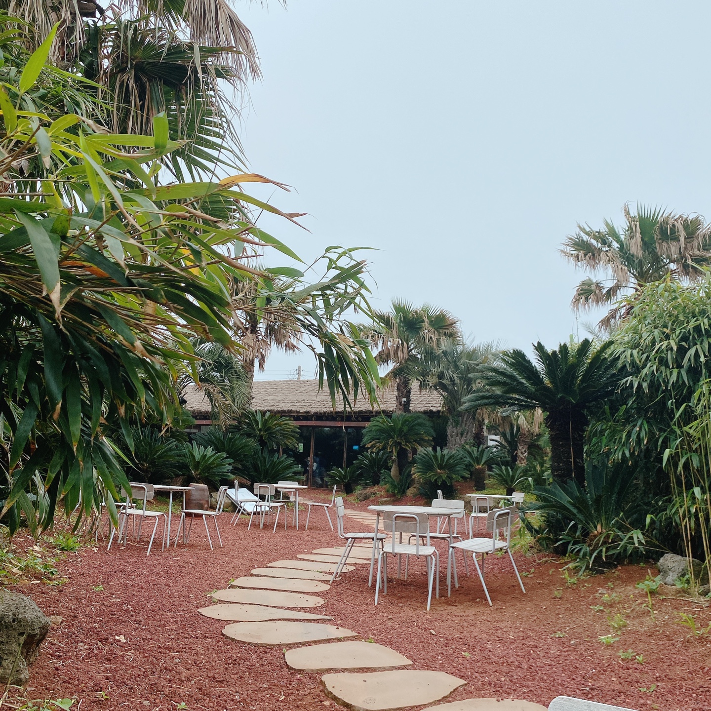 제주 서귀포 대정 서림연대 인스밀 곡물창고 개조카페 in's mill 보리개역 보리 청보리 제주 특산물