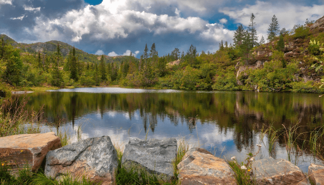 제로웨이스트 항공 산업과 미래형 친환경 비행 기술