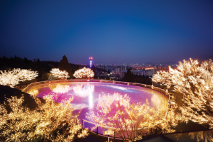 그랜드 하얏트 서울 아이스링크