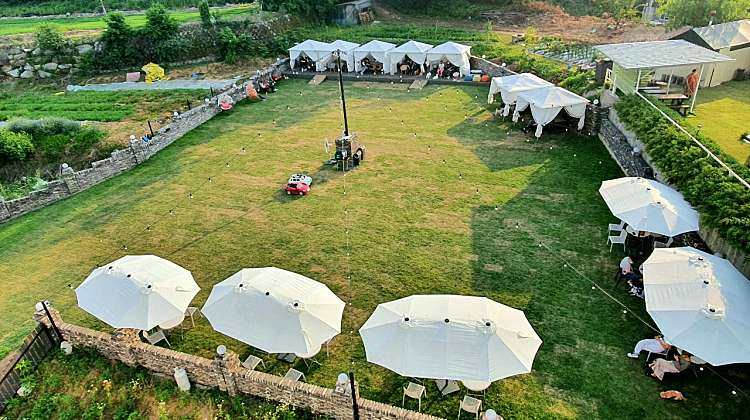 애견 카페 크고 괜찮은 곳3